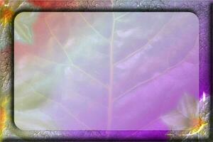 Frame flower with background gradient colors photo