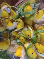 pollito de huevos de pascua y decoraciones foto