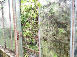 old abandoned greenhouse broken windows photo