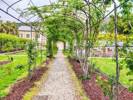 rose garden pergola photo