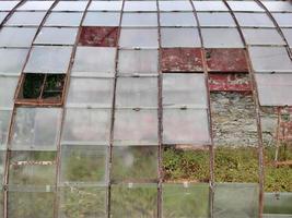 viejo invernadero abandonado ventanas rotas foto