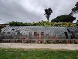 viejo invernadero abandonado ventanas rotas foto