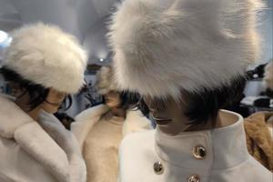 fur woman fashion hat photo