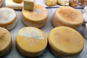 queso italiano orgánico natural hecho a mano
