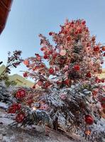 MENTON, FRANCE - DECEMBER 11 2021 - Santa Village open for christmas photo