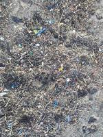 basura basura basura basura en la playa