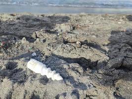 Plastic waste rubbish garbage on the beach photo