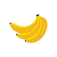 Banana Plantain Vector Illustration