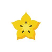 starfruit icon design vector