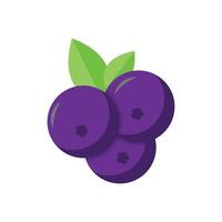 blueberry icon vector