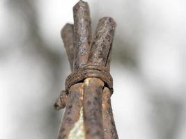 rusted iron bars crossed and tied up photo