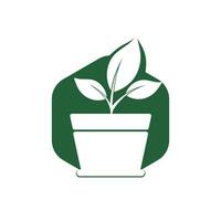 Flower pot and plant logo. Growth vector logo.