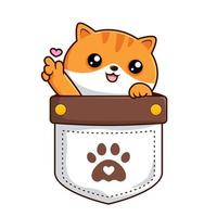 Cute Cat in Pocket - Tabby Orange White Pussy Cat in Pouch with Love Hand vector