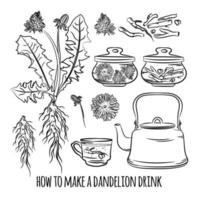 DANDELION DRINK HOW MAKE Pharmacy Vector Illustration Set