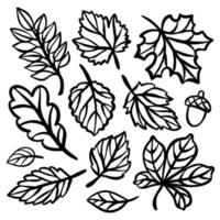 AUTUMN LINE LEAVES Set For Plotter Openwork Leaves Of Plant vector