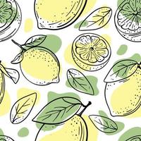 CITRUS Abstract Delicious Fruit Hand Drawn Seamless Pattern vector