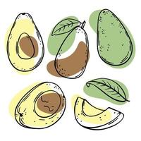 AVOCADO Delicious Fruit Sketch Style Vector Illustration Set