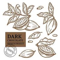 cacao chocolate diseño etiqueta monocromo vector ilustración conjunto