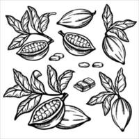 CHOCOLATE COCOA Monochrome Sketch Clip Art Vector Illustration Set