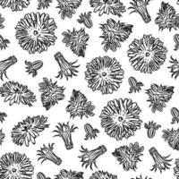 DANDELION Medical Plant Seamless Pattern Vector Illustration