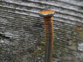 old Rusted iron spike on wood macro photo