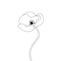 Flower Coloring Page And Book Poppy Flower Line Art Hand Drawn Illustration vector