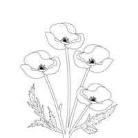 Flower Coloring Page And Book Poppy Flower Line Art Hand Drawn Illustration vector