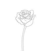 Rose Flower Coloring Page And Book Hand Drawn Line Art Illustration Beautiful Flower Black And White Drawing Vector
