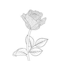 Rosa flor colorante página y libro mano dibujado línea Arte ilustración vector
