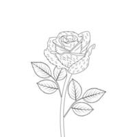 Rosa flor colorante página y libro mano dibujado línea Arte ilustración hermosa flor negro y blanco dibujo vector