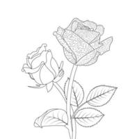 Rosa flor colorante página y libro mano dibujado línea Arte ilustración vector