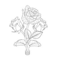 Rose Flower Coloring Page And Book Hand Drawn Line Art Illustration vector