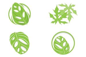 Monstera adansonii Leaf Logo, Green Plant Vector, Tree Vector, Rare Leaf Illustration vector