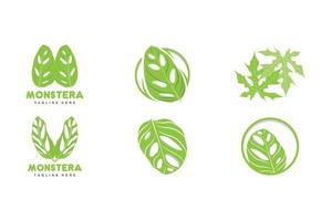 logotipo de hoja de monstera adansonii, vector de planta verde, vector de árbol, ilustración de hoja rara