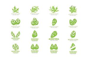 logotipo de hoja de monstera adansonii, vector de planta verde, vector de árbol, ilustración de hoja rara