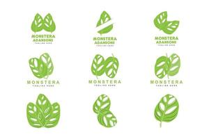 logotipo de hoja de monstera adansonii, vector de planta verde, vector de árbol, ilustración de hoja rara