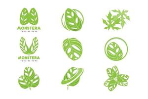 logotipo de hoja de monstera adansonii, vector de planta verde, vector de árbol, ilustración de hoja rara