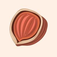 Hazelnut vector illustration for graphic design and decorative element