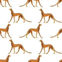 Leopard, cheetah seamless pattern. Vector illustration
