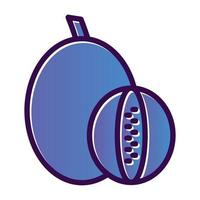 diseño de icono de vector de melón