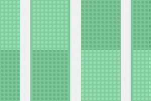 Pattern fabric textile. Vertical background vector. Stripe texture seamless lines. vector