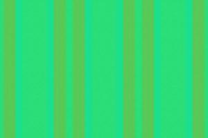 Pattern texture vertical. Stripe textile vector. Fabric lines background seamless. vector