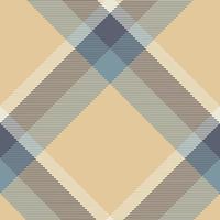 Plaid pattern vector. Check fabric texture. Seamless textile design for clothes, paper print. vector