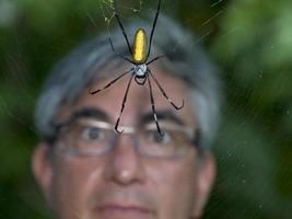 man looking at spider photo