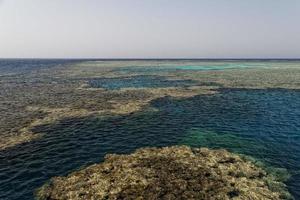 Red Sea reef photo