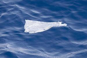 plastic bag in the deep blue sea photo