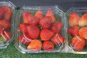 Strawberries in plastic boxes sold in the market photo