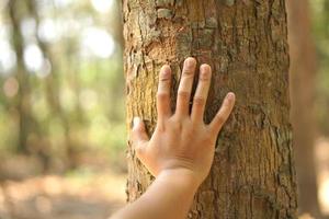 concept of saving the world Asian woman touching a tree photo