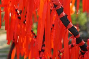 red cloth tied on a tree photo