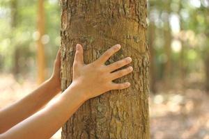 concept of saving the world Asian woman touching a tree photo